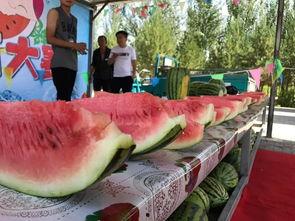 株洲吃瓜又吃谷