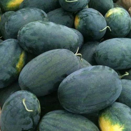 看瓜如何吃,看瓜吃瓜，解锁夏日消暑新姿势