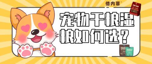 智联宠物吃瓜,吃瓜群众眼中的萌宠生活