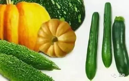 今日吃瓜必吃瓜图片,揭秘吃瓜必看瓜图背后的故事