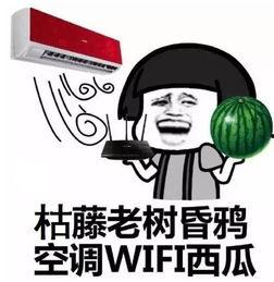 吃瓜肥崽,揭秘娱乐圈背后的那些事儿