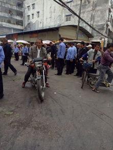 城管校吃瓜,揭秘校园里的“城管风云”