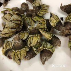 吃鸡瓜螺,探寻美味与健康的完美融合