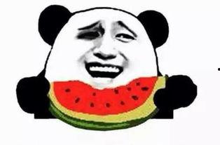 看热闹 吃瓜,看热闹与吃瓜的欢乐时光